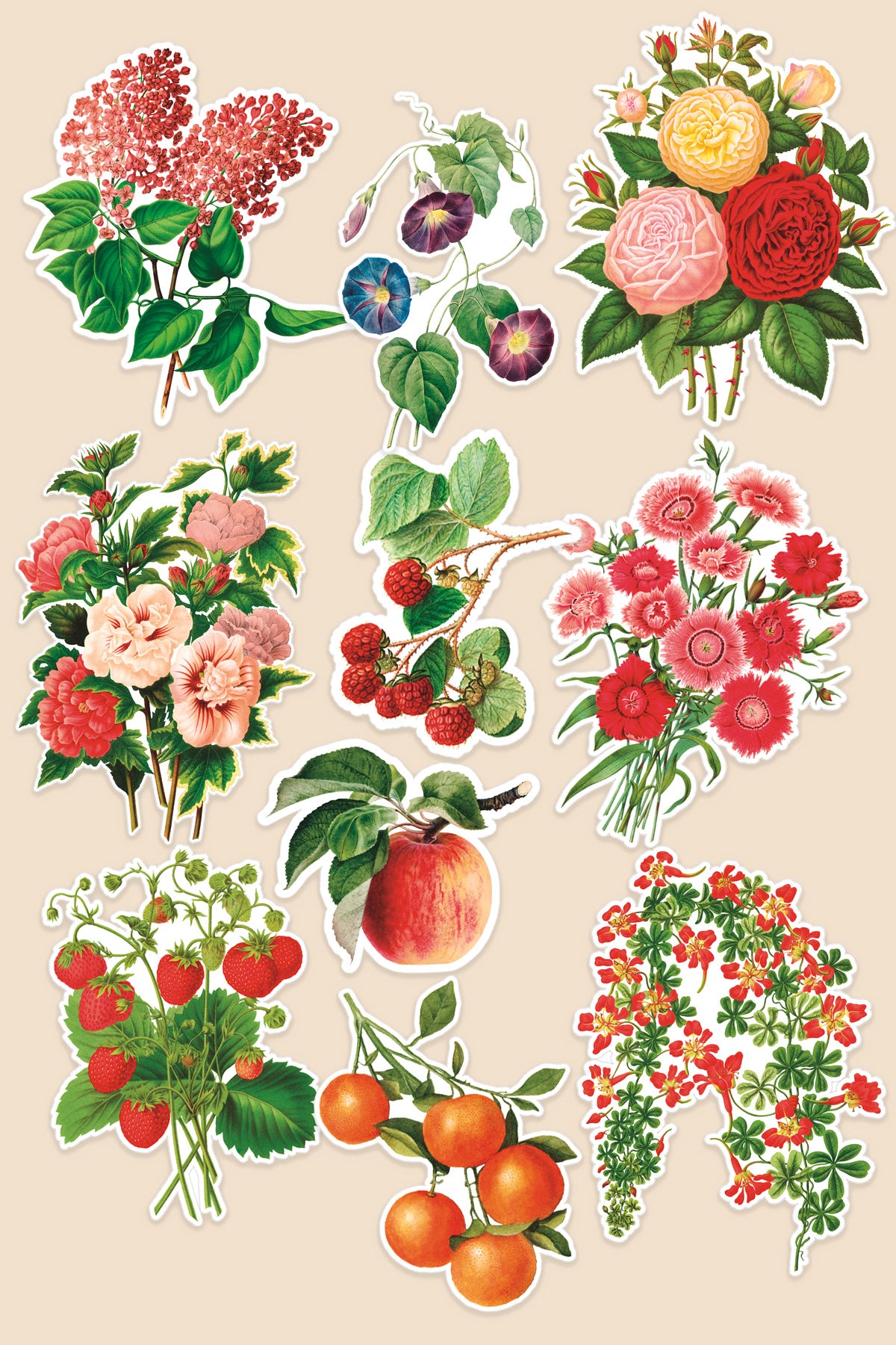 Autocollants Bouche-Trou: Fruits et Fleurs