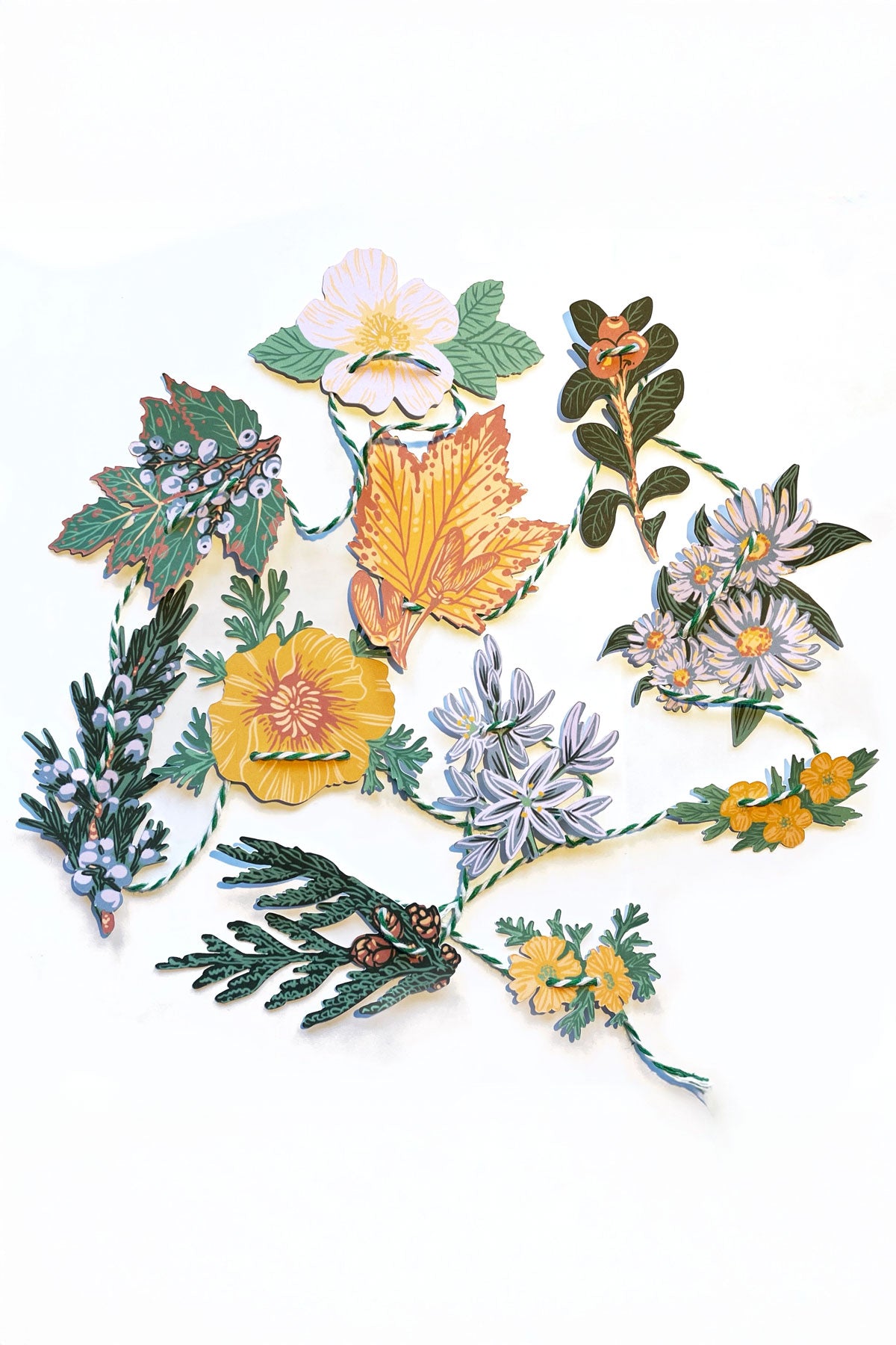 PNW Native Plants - Paper Garland (Mini)