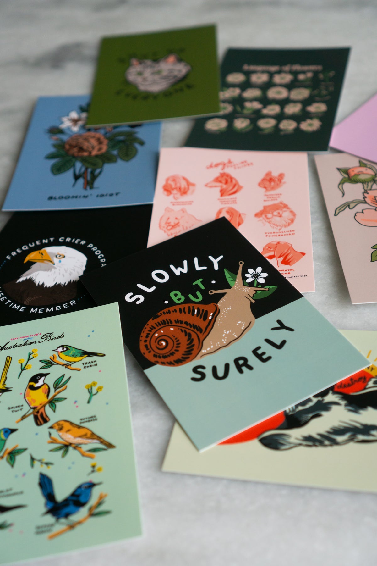 SHC Collection 1 - 20 Postcard Pack