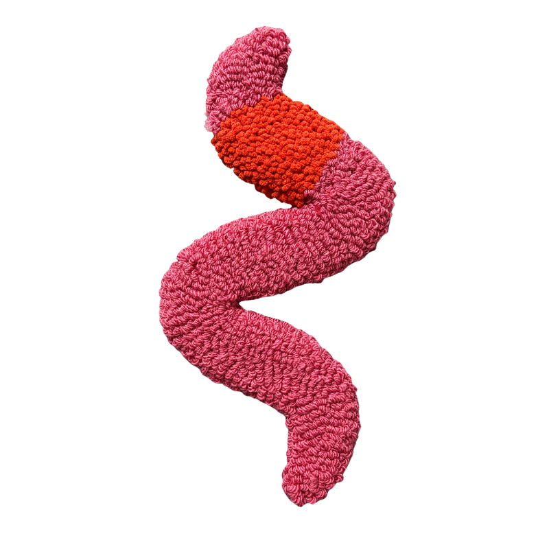 Tufted Worm Wall Hanging