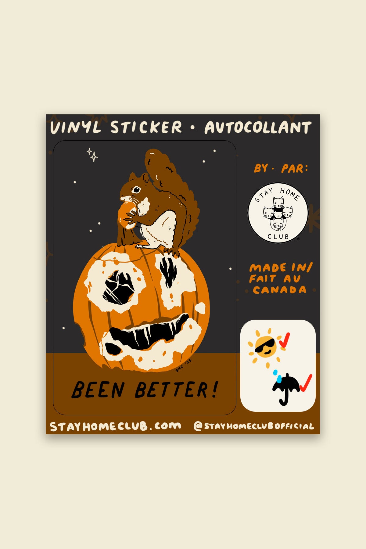 Been Better (Pumpkin) Vinyl Sticker