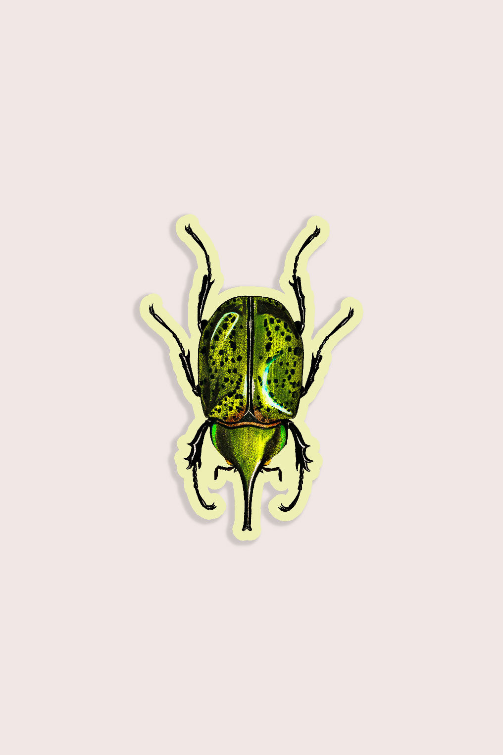 Nature animal sticker featuring green beetle insect