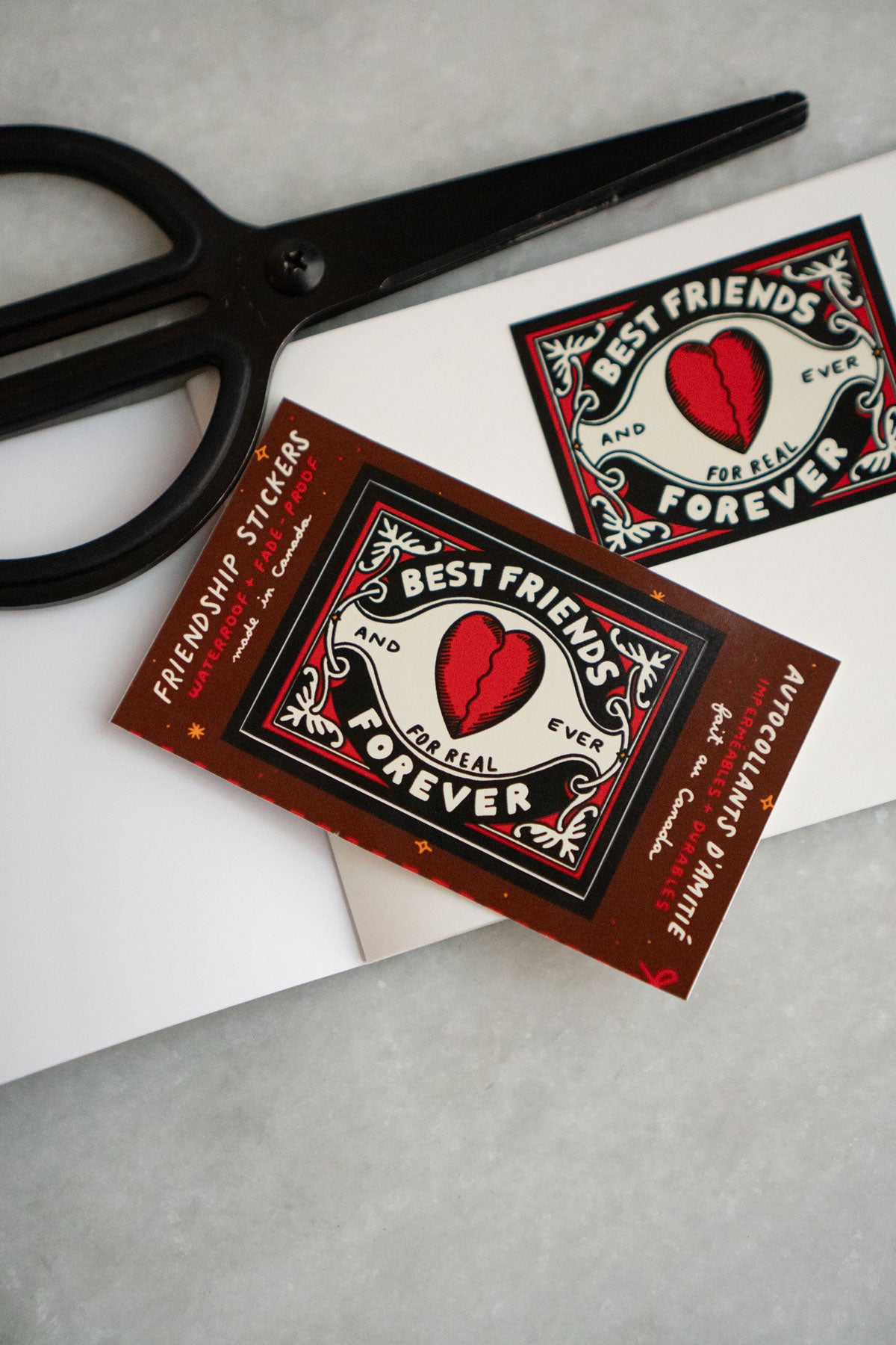 Best Friends Giftable Sticker Set