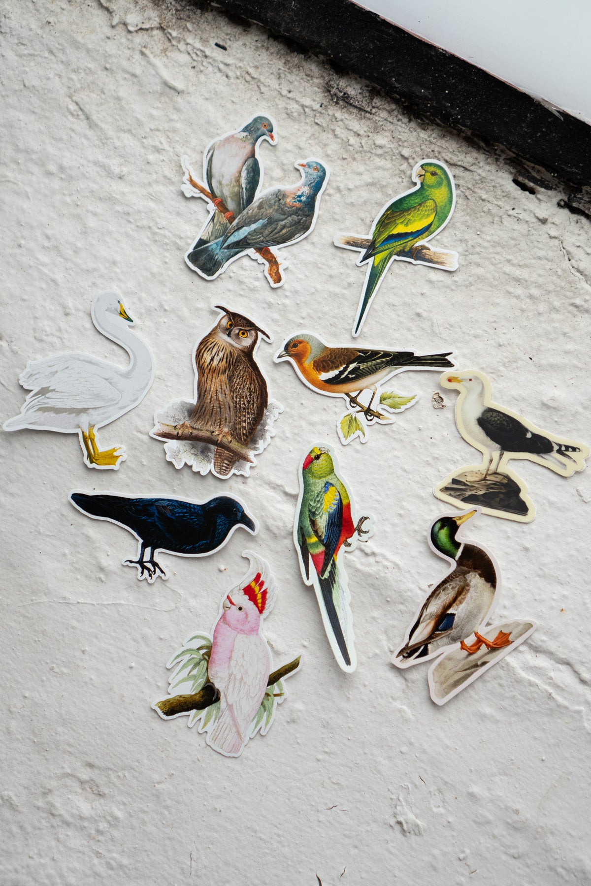 Autocollants Bouche-Trou: Oiseaux