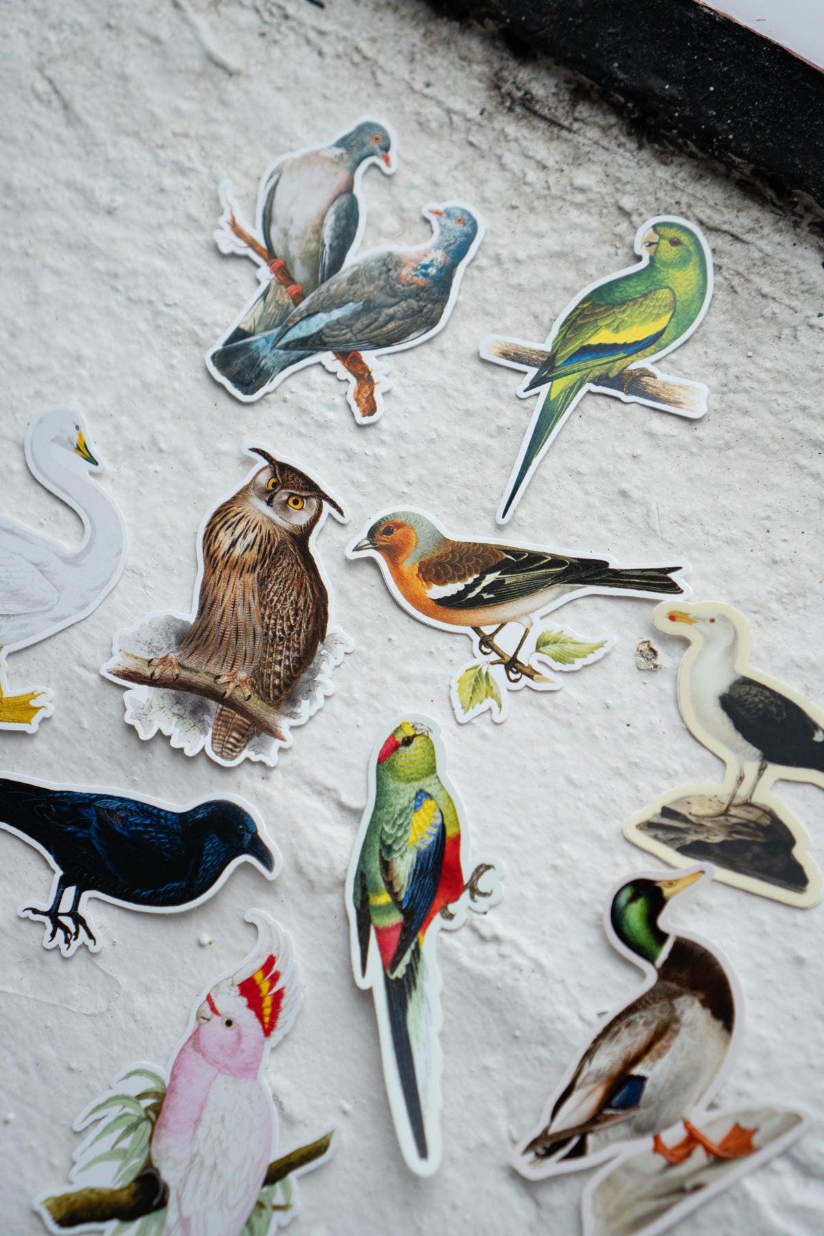 Autocollants Bouche-Trou: Oiseaux