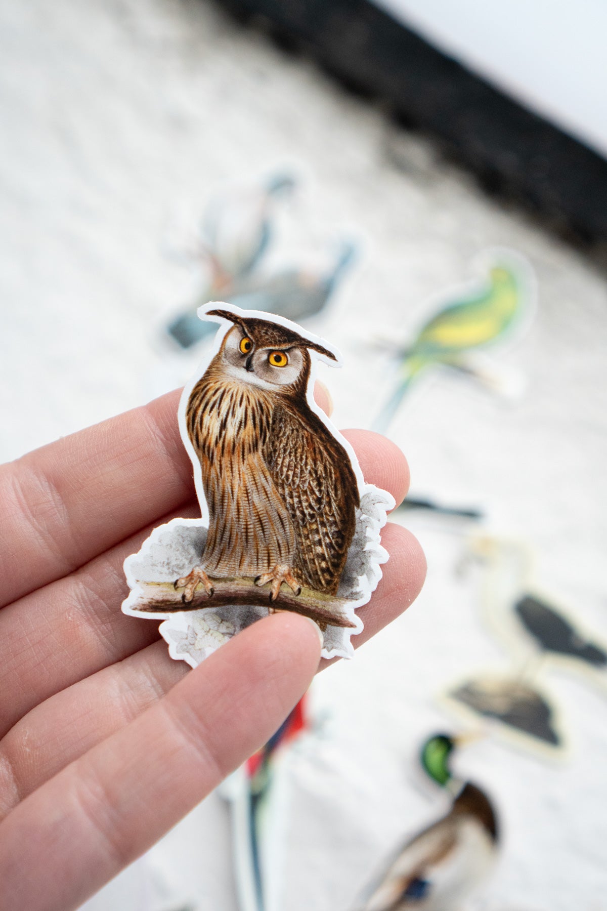 Autocollants Bouche-Trou: Oiseaux