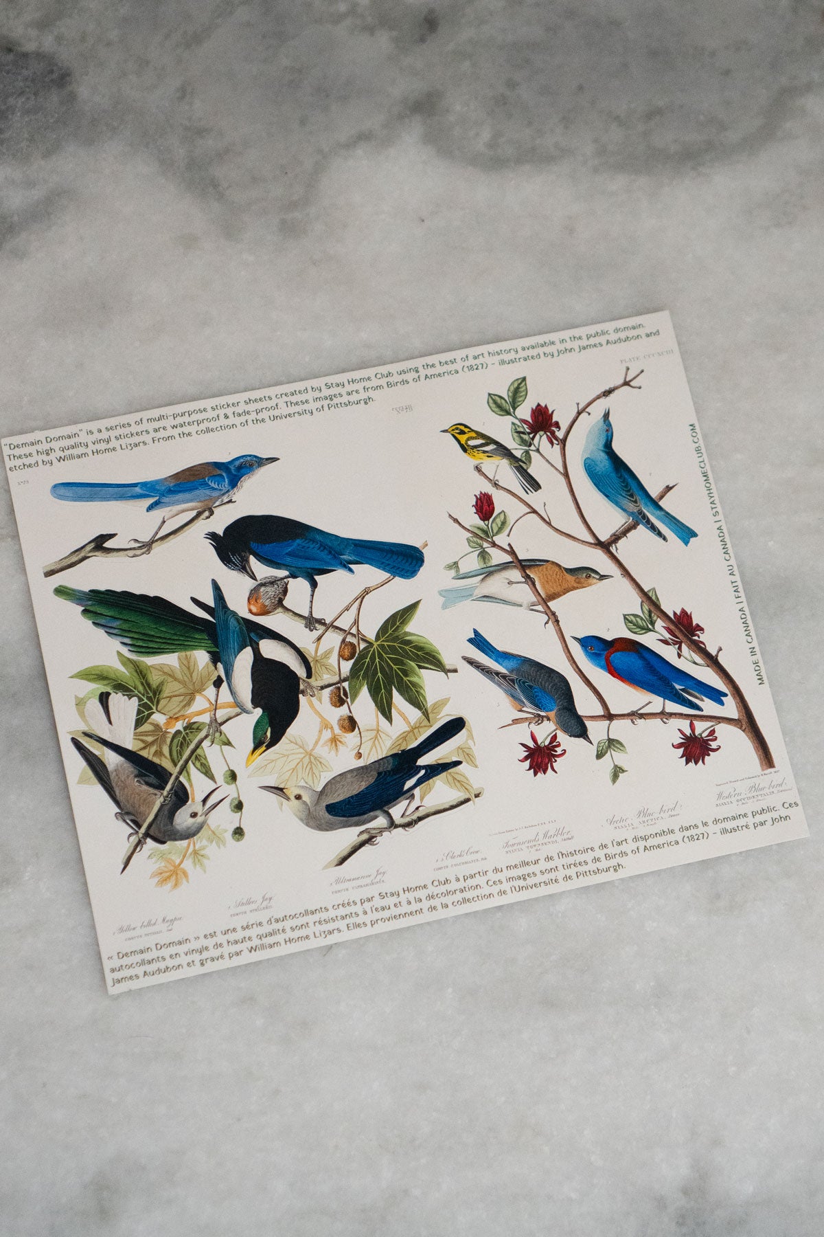 Birds of America - Mega Sticker Sheet