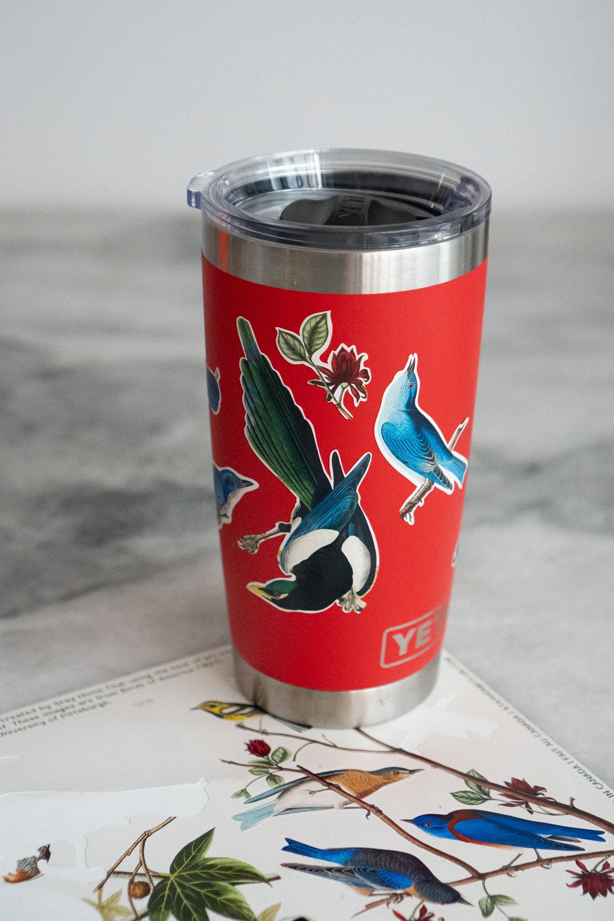 Birds of America - Mega Sticker Sheet