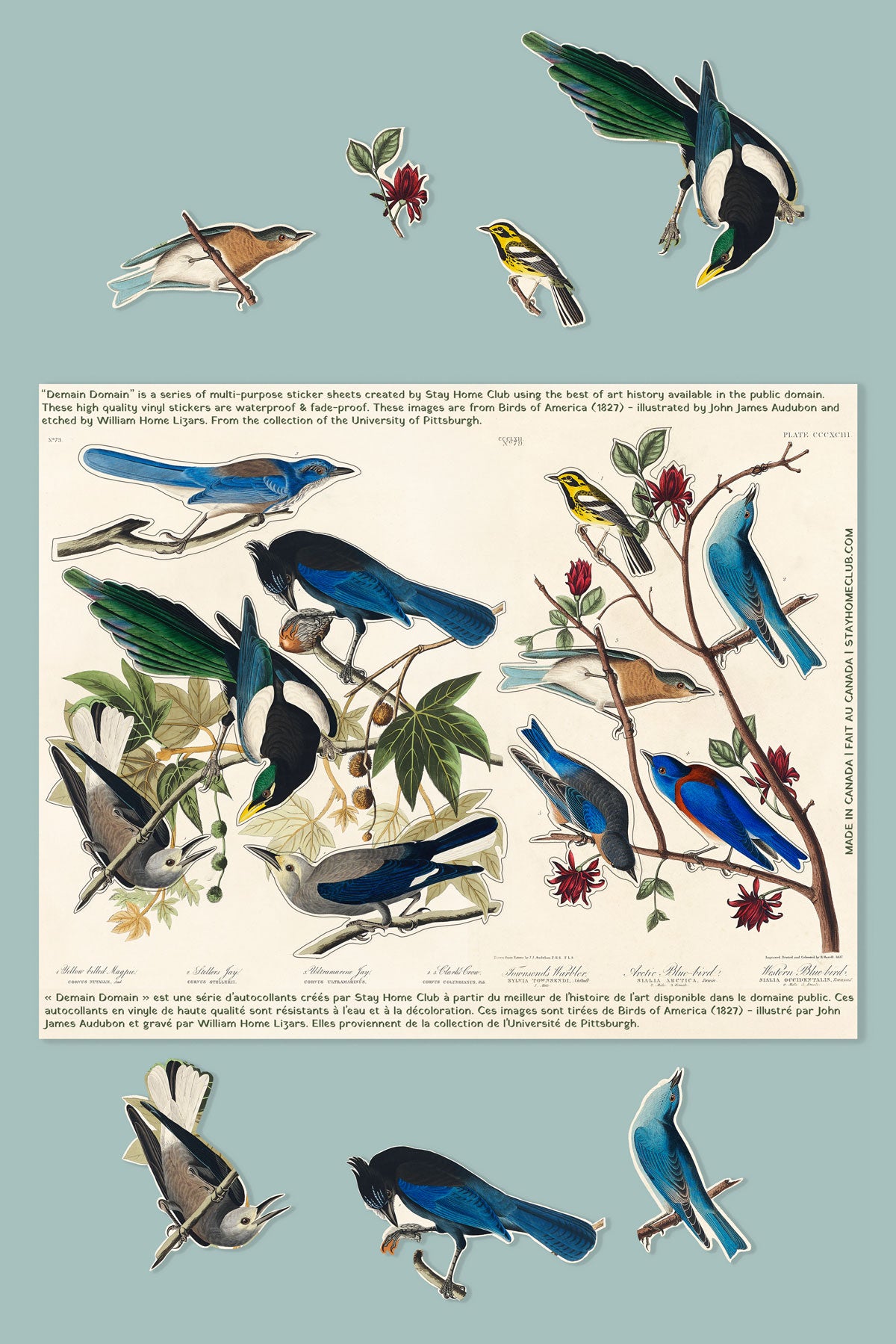 Birds of America - Mega Sticker Sheet