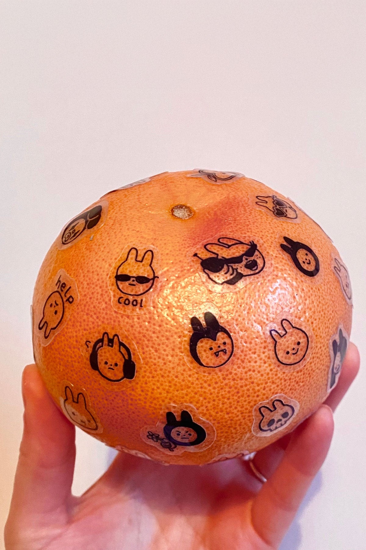 Bunnies - Clear Sticker Sheet