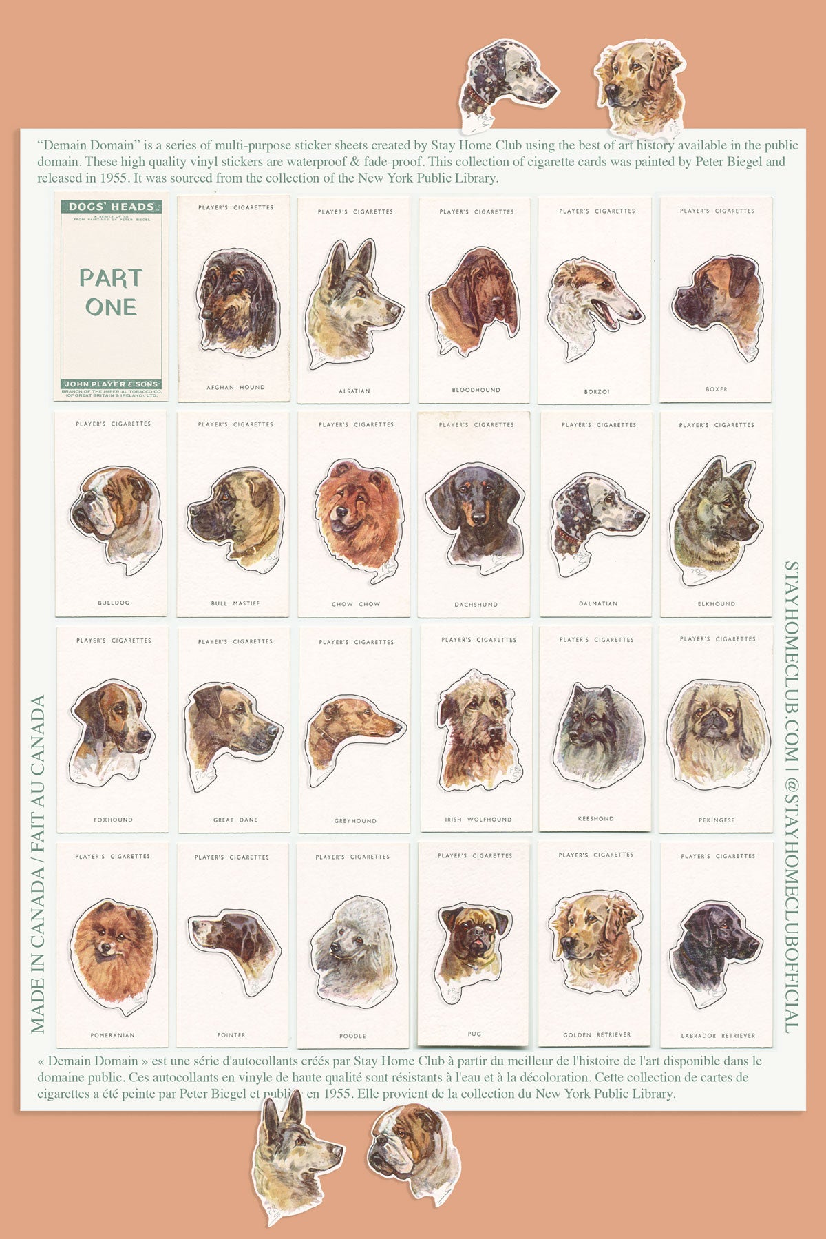 Dogs' Heads / Part 1 - Mega Sticker Sheet
