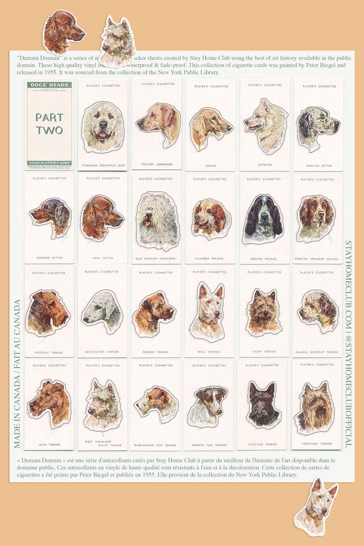 Dogs' Heads / Part 2 - Mega Sticker Sheet