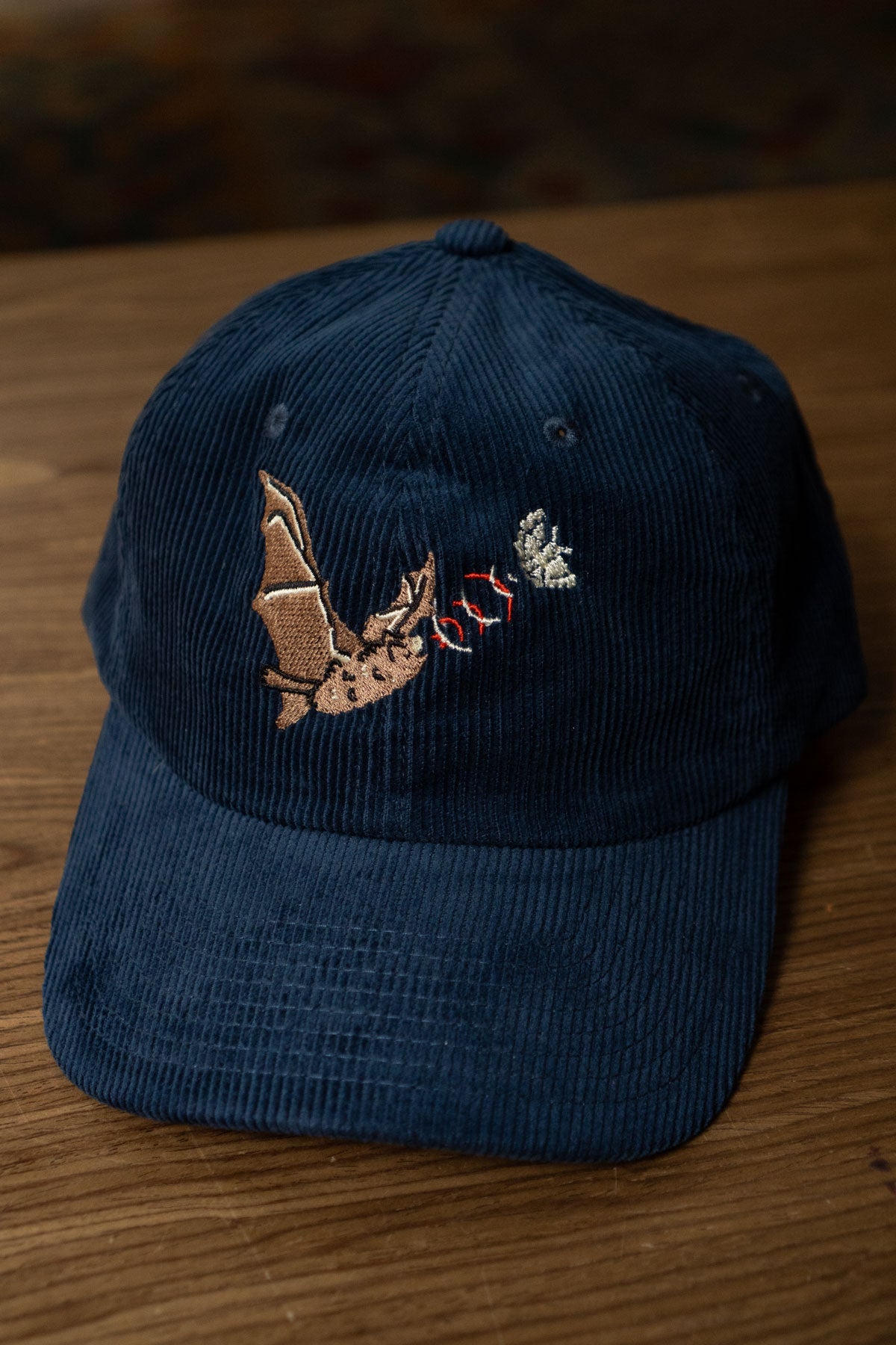Echolocation Corduroy Dad Hat