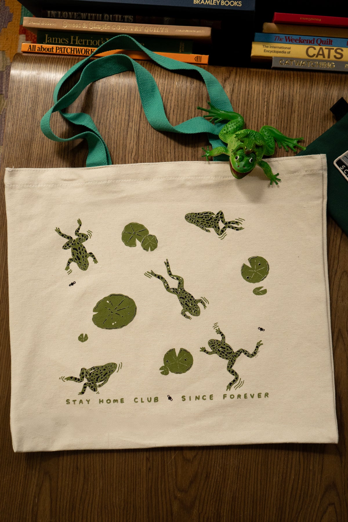 Fourre-Tout Simple 'Frog Days'