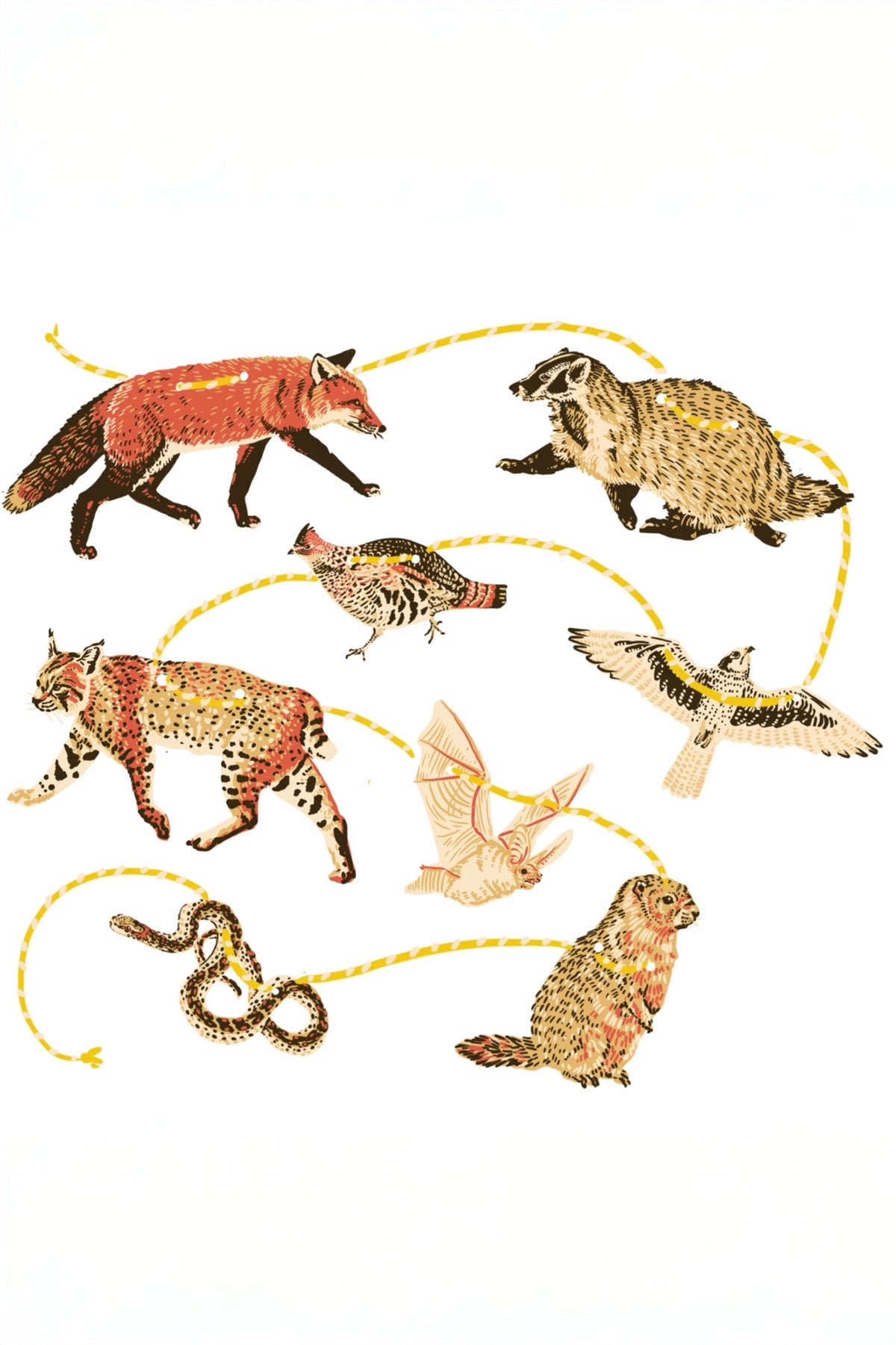 PNW Grassland - Paper Garland