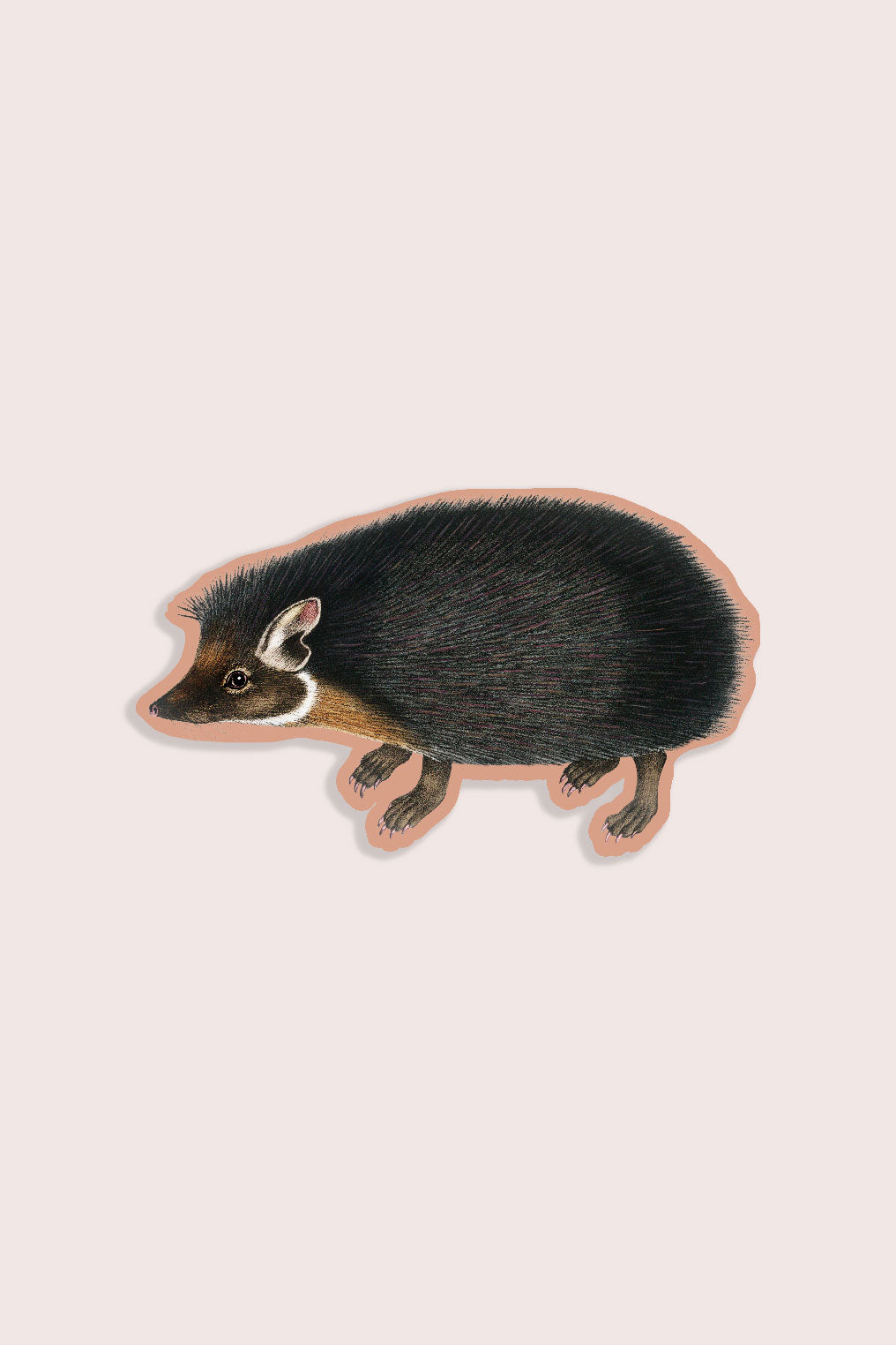 Nature animal sticker featuring a headgehog