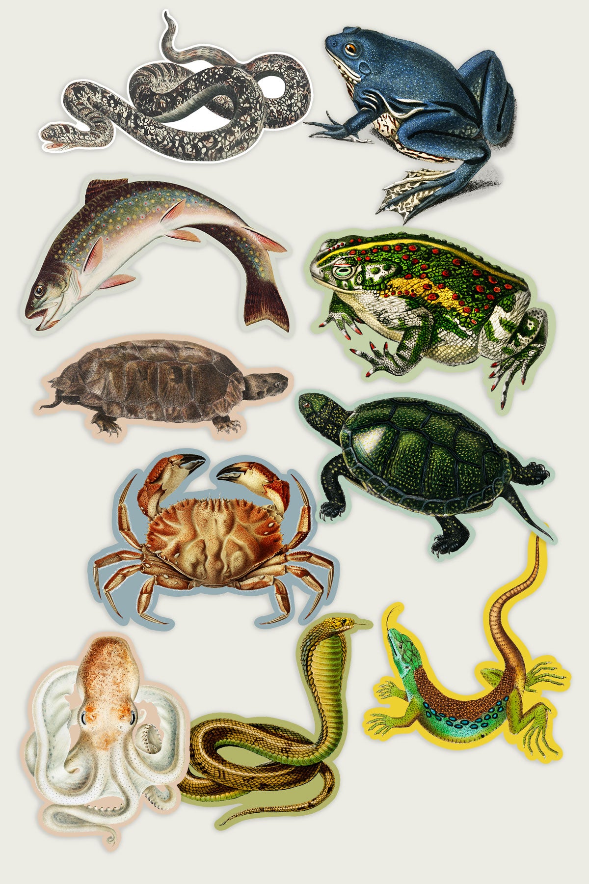 Autocollants Bouche-Trou: Copains Terre et Mer