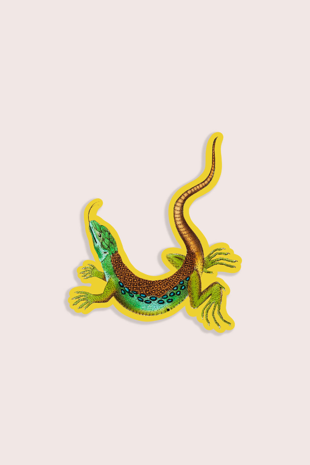 Vintage illustration sticker of a colourful lizard