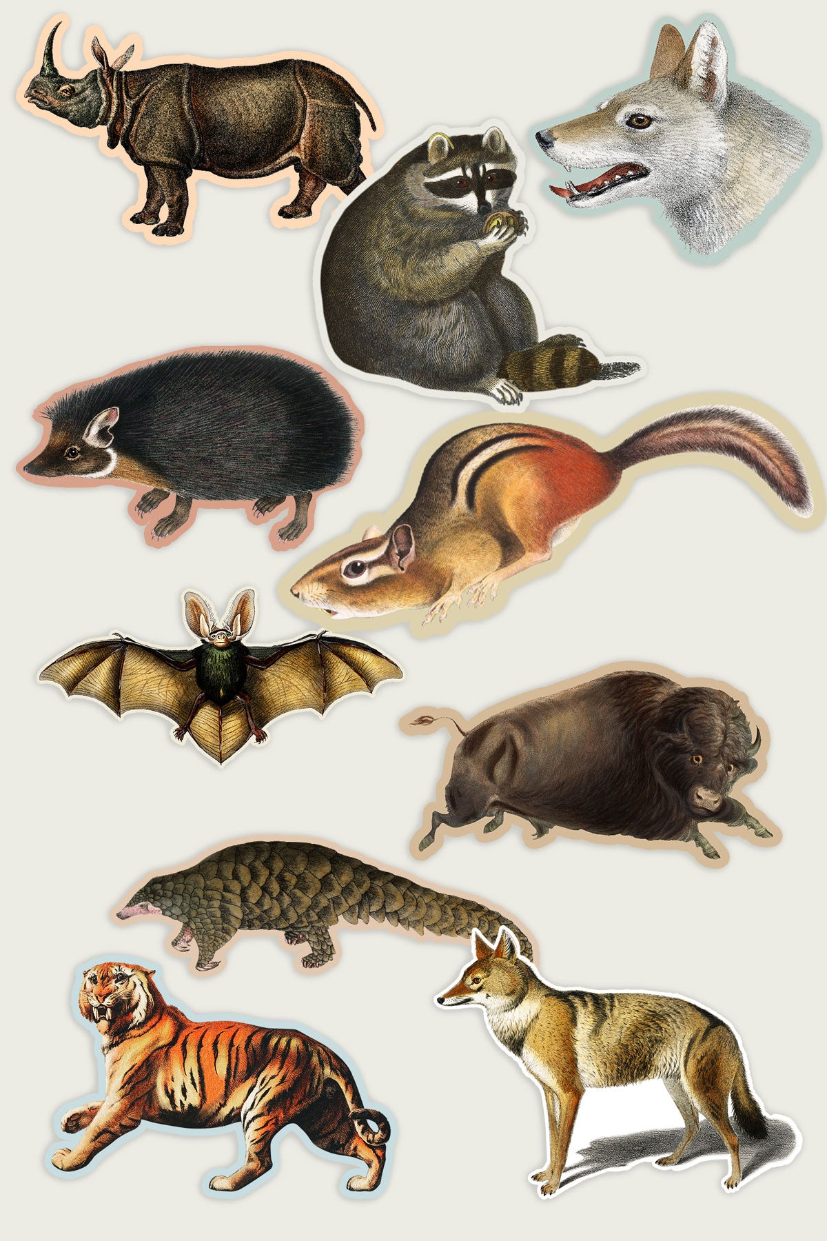 Collection of vintage illustration animal stickers