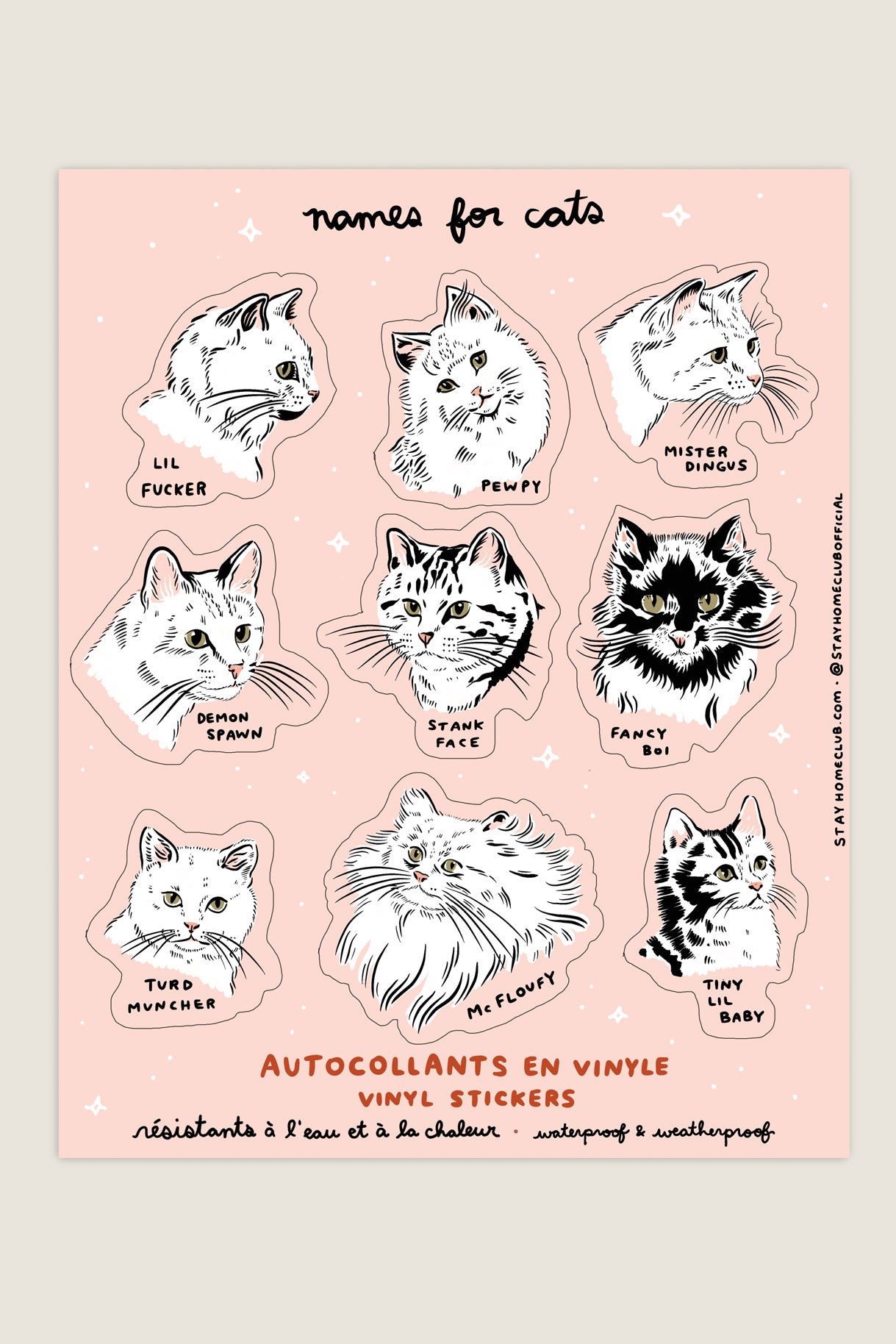 Sticker sheet featuring cats with funny names