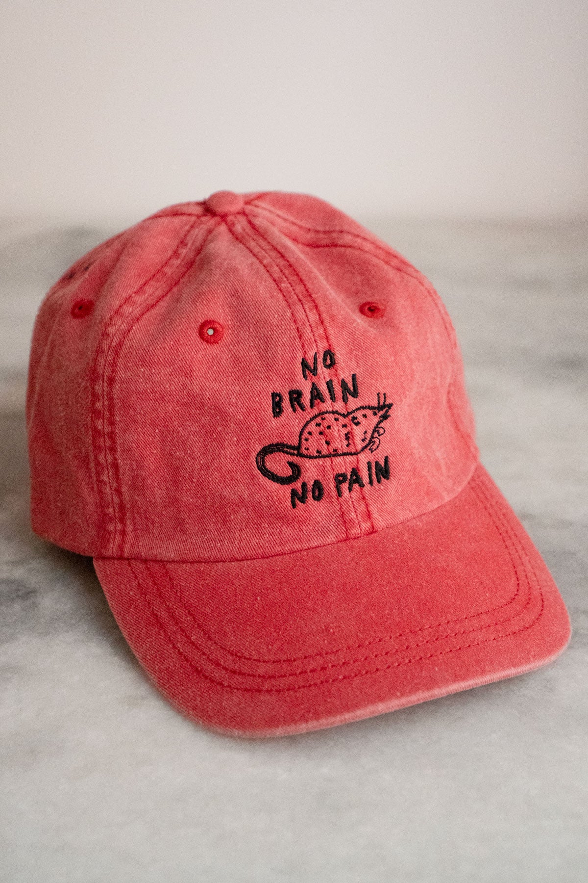 No Brain No Pain Dad Hat