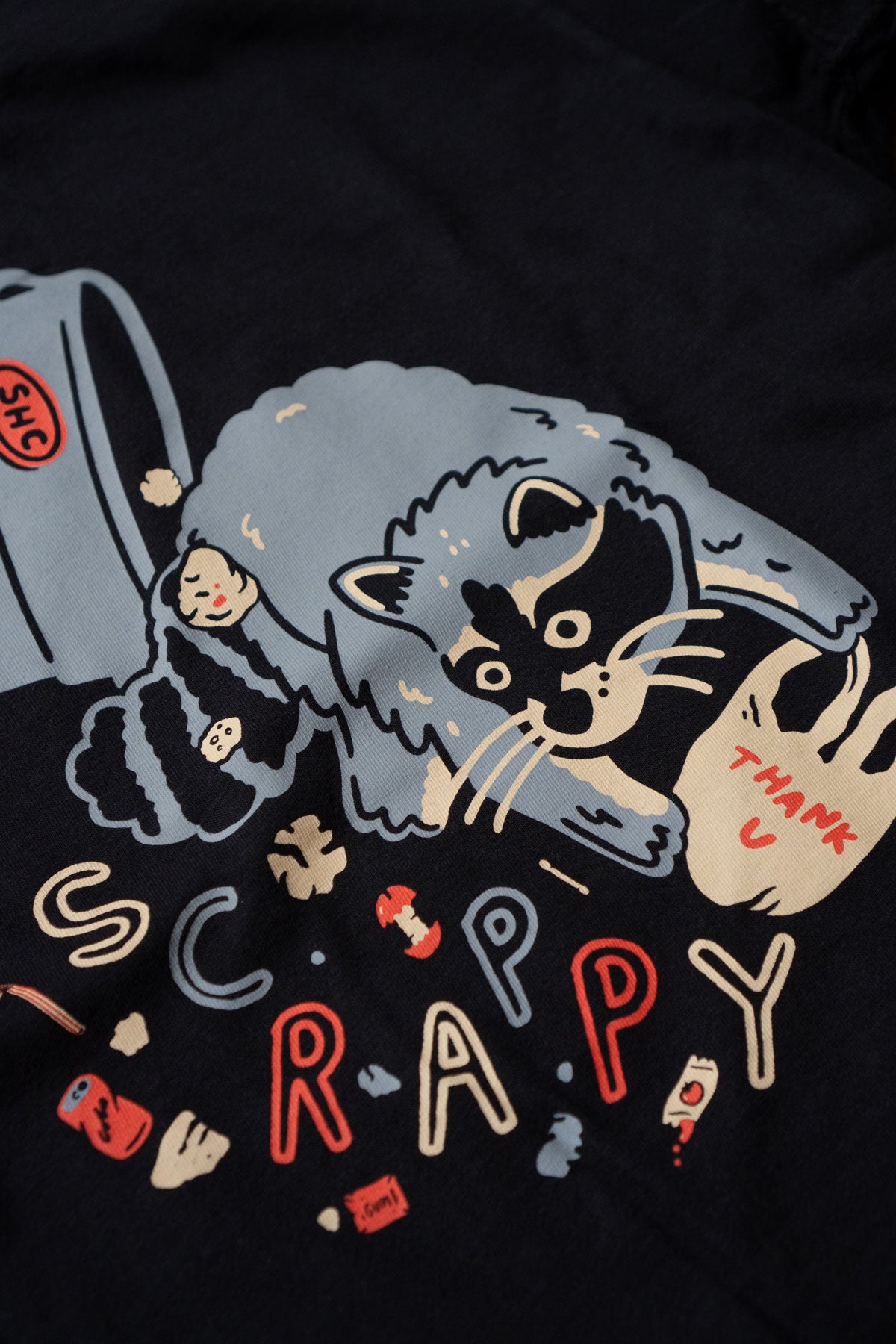 Scrappy Raccoon Boxy Tee
