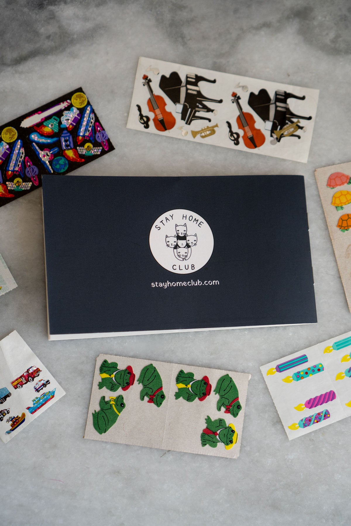 Scrappy Raccoon - Pocket Sticker Book