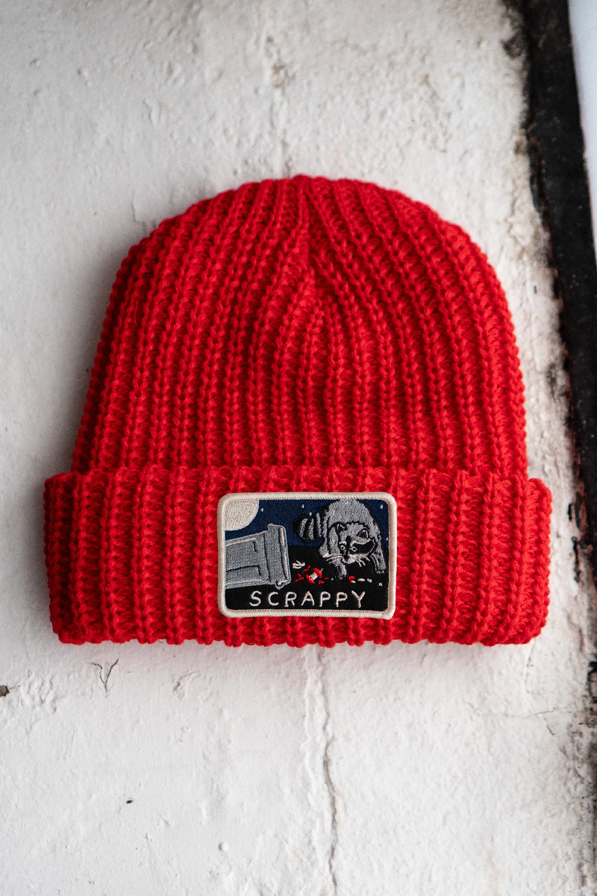 Scrappy Raccoon Patched Chunky Beanie