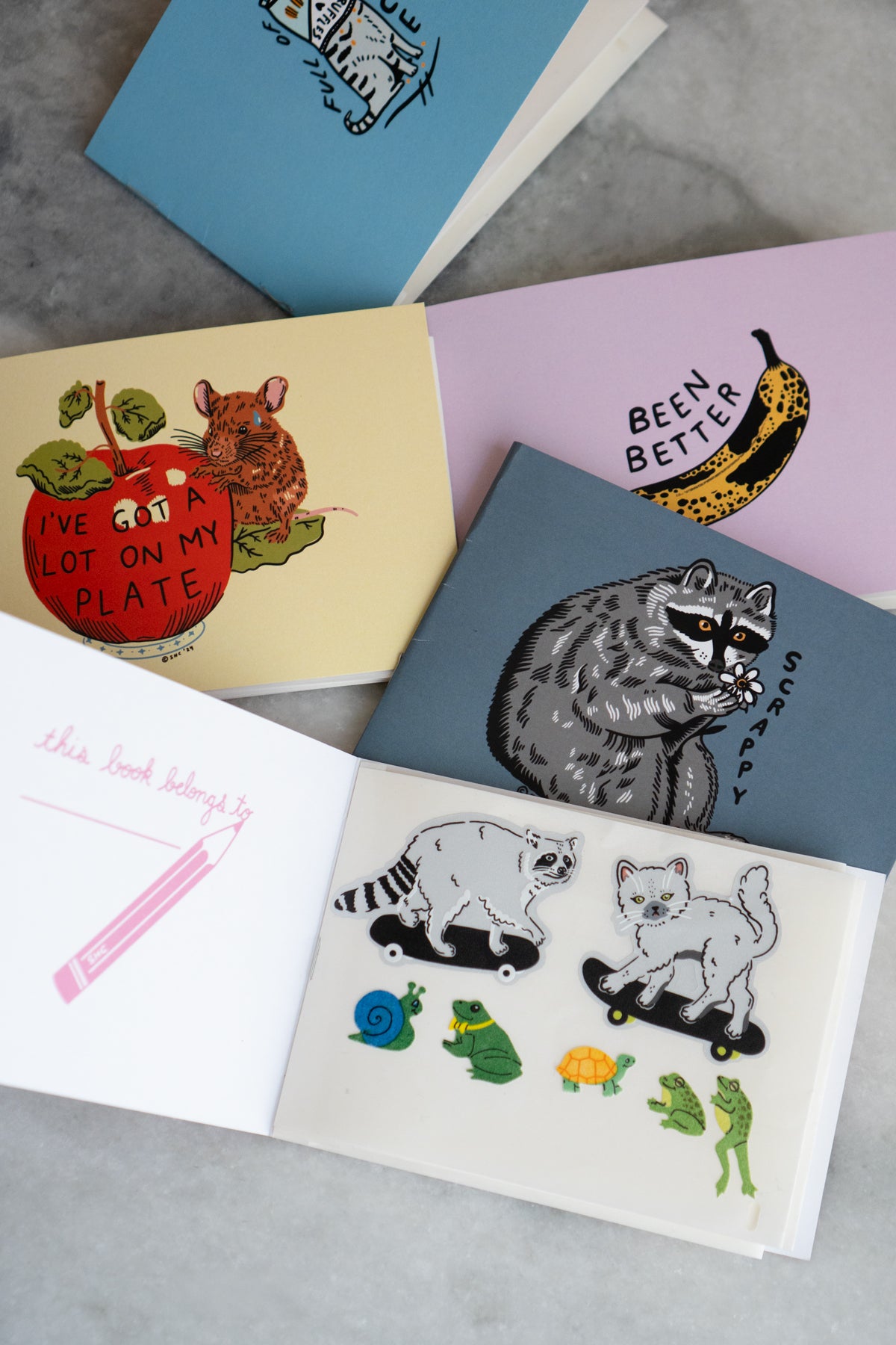 SHC Scrappybook - Recycled Sticker Book