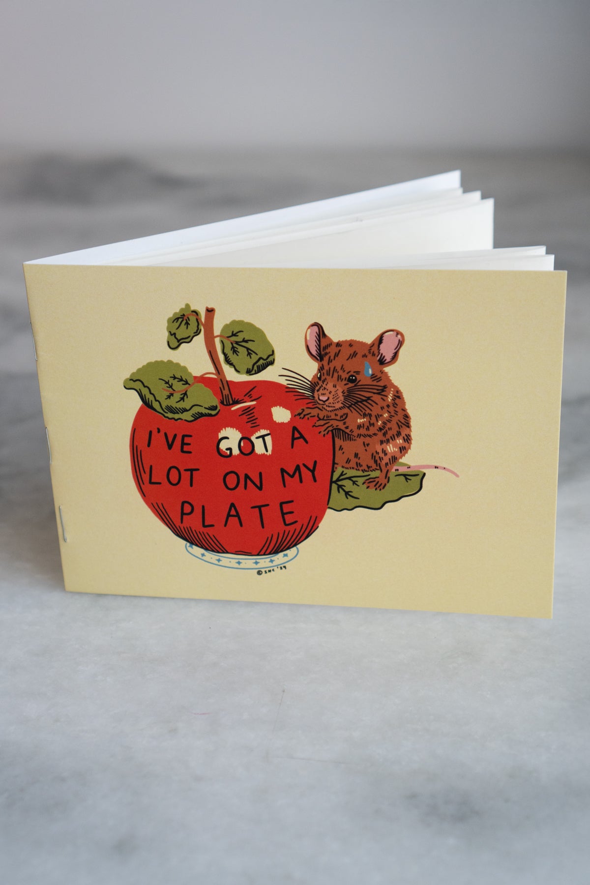 SHC Scrappybook - Recycled Sticker Book