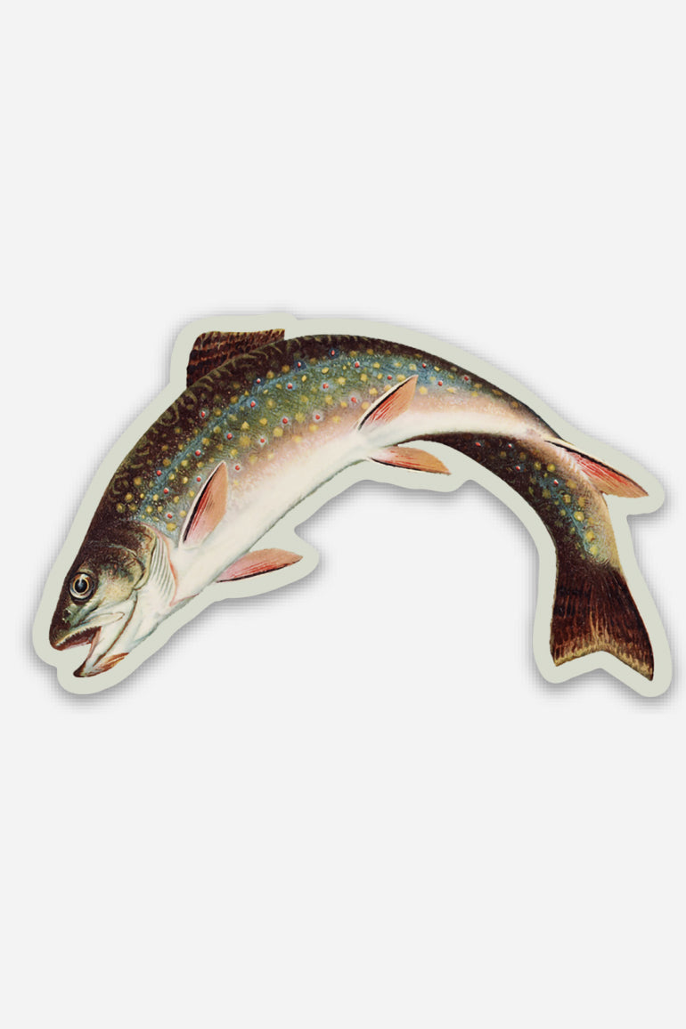 Scandalized Trout - Gap Filler Sticker
